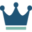 Premium Plan – No Limits icon