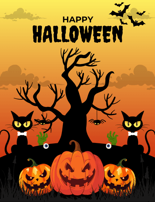 Black Cat Pumpkin Halloween Card