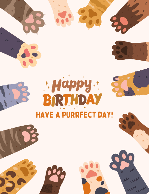 Cat Paws Birthday Card