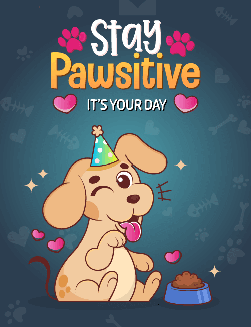 Stay Pawsitive Dog Birthday Card