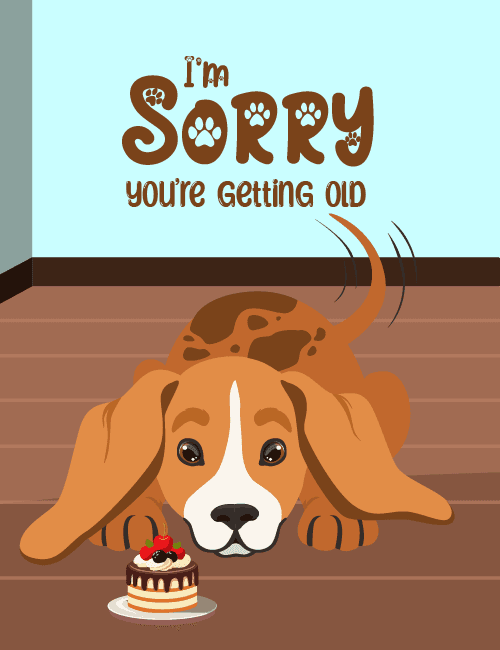 Dog Funny Birthday Card – Sorry You’re Getting Old
