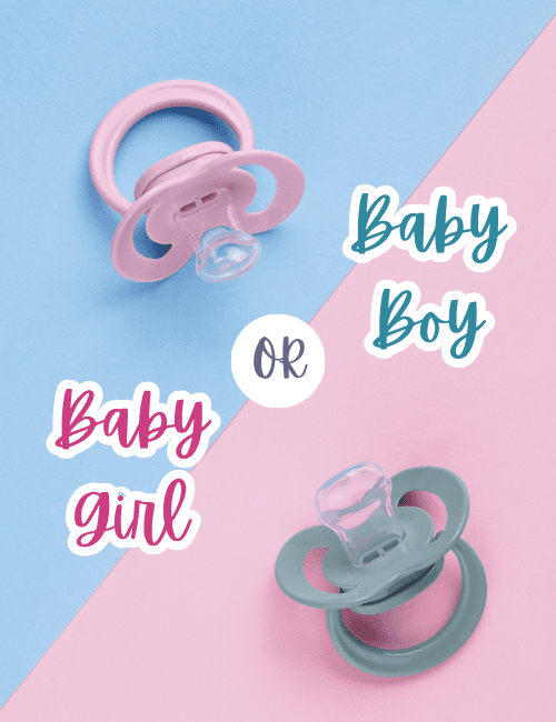 Baby Girl or Baby Boy – Gender Reveal Card
