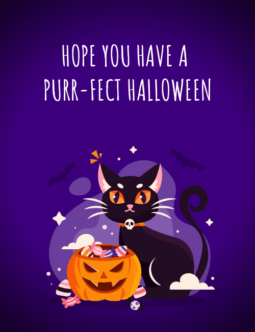 Purr-fect Halloween Cat Card