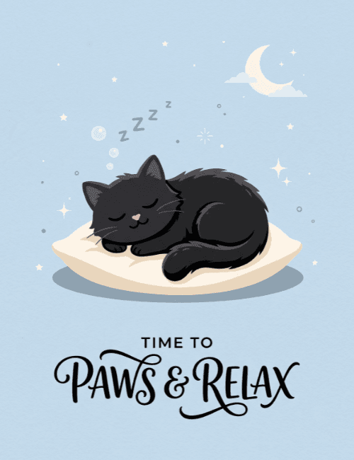 Time to Paws and Relax Cute Cat Card